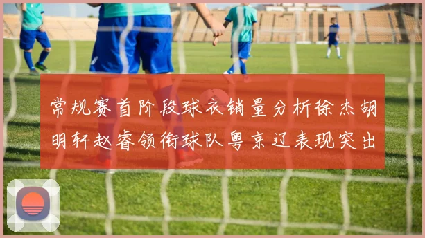 常规赛首阶段球衣销量分析徐杰胡明轩赵睿领衔球队粤京辽表现突出